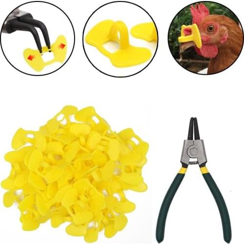 Chicken Glasses No bolt Yellow Plastic Glasses and Special Installation Clamp Set for Chicken Glasses Poultry Supplies Tools