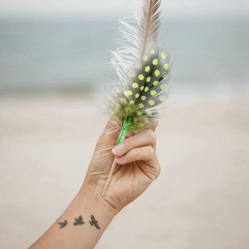 NHBR 50pcs Mixed Color Simulation feather