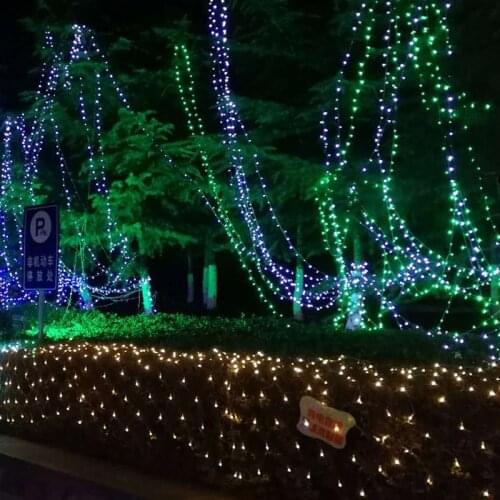 Fenghuang Bridge Garden Lights