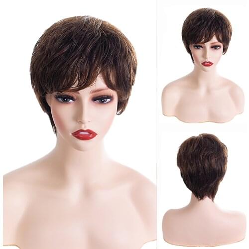 Short Brown Syntheic Hair Wigs Straight Hair For Women Heat Resistant Daily Wigs With Bangs