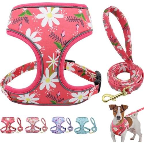 Reflective Print Dog Cat Harness Leash Set Nylon Daisy Floral Pet Puppy Harness Vest Leashes for Small Medium Dogs Chihuahua