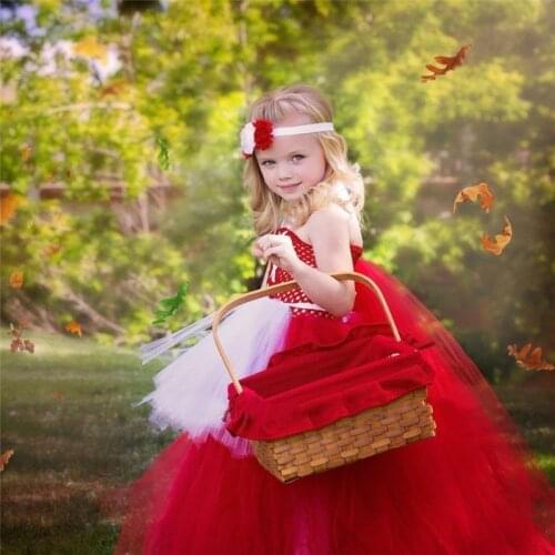 Moeble Little Red Riding Hood Girl Tutu Dress Fluffy Baby Tulle Ball Gown Kids Birthday Wedding Christmas Clothing Set DT-1640