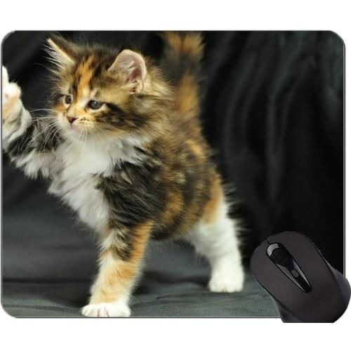 Gaming Mouse Pad Custom,Kitten Maine Coon Animal Cat Home Office Computer Accessories Mousepads