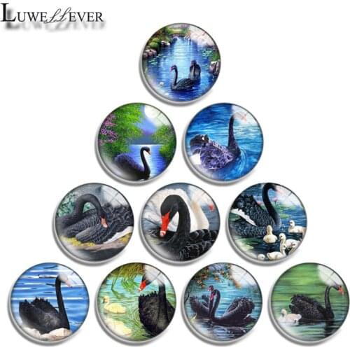 12mm 14mm 16mm 20mm 25mm 30mm 668 Black Swan Mix Round Glass Cabochon Jewelry Finding 18mm Snap Button Charm Bracelet