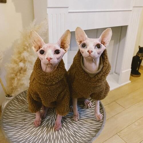 MPK Store New Turtleneck Cat Wear Cat Clothes Suitable for Skinny and Hairless Cats