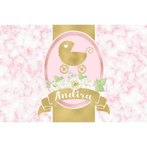 Custom Pink Stroller Princess Cinderella Carriage Flower Leaves Marble background Computer print party backdrop