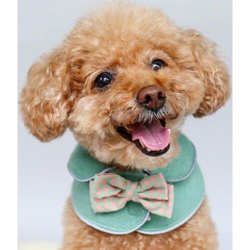 1pcs Pet Accessories Dog Cat Kindergarten Shawl Student Bowknot Princess Style Cape Pet Supplies