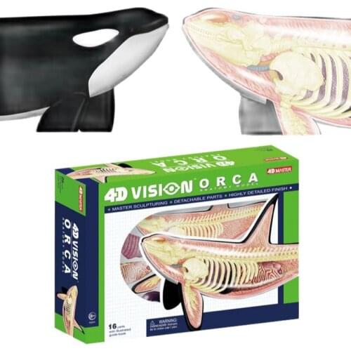 4D MASTER Killer Whale Animal Puzzle Grampus Toys Animal Models Detachable DIY Gifts Educational Tool 19 Parts 4D MASTER 26099