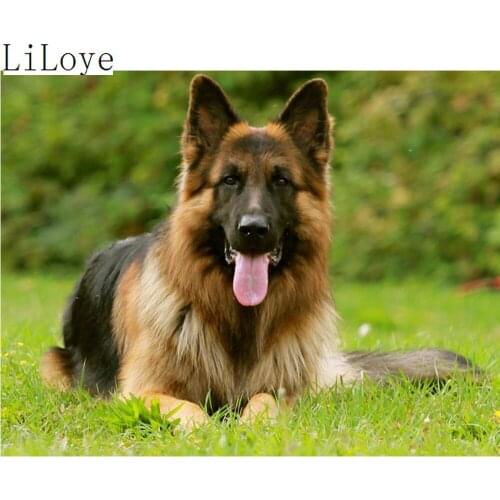 LI LOYE Cross Stitch Full Diamond Rhinestones Painting Home Decor DIY 5D diamond painting Dog Pattern Diamond Embroidery FZ464