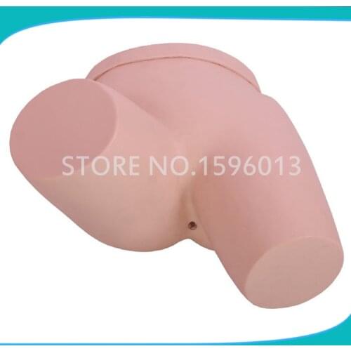 Enema Administration Simulator Medical Training Operation Model