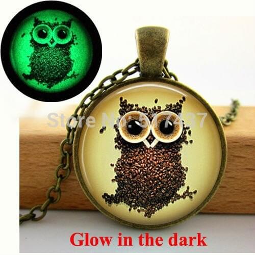 2015 New Items Glow in the dark Coffee Beans Owl Necklace Owl Pendant Necklace - art photo glass dome glowing jewelry