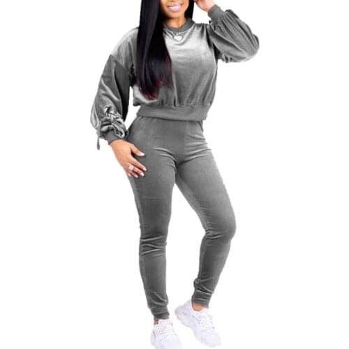 Womens 2 Piece Velvet Set, Long Sleeve Crewneck Loose Pullover + Skinny Pants Set Loungewear Spring Autumn Plus Size