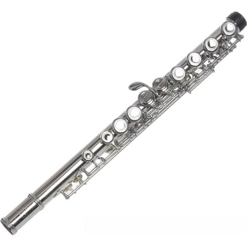 16 Holes Closed Hole Flute C Key Flute Instrument with Cleaning