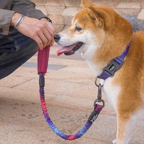 Pet Leash Pet Walking Rope For Small Medium Large Dogs Durable Pet Puppy Dog Harness Leads Rope Pet Training Accessories