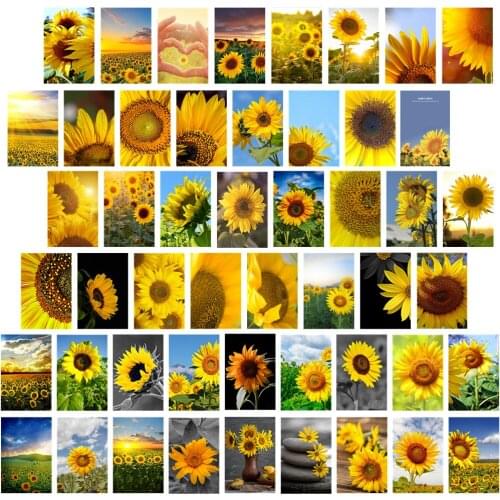 50pcs/set Plant Series Sunflower Wall Collage Natural Style Aesthetic Photo Postcard Art Pictures Home Decor Poster Wall Sticker
