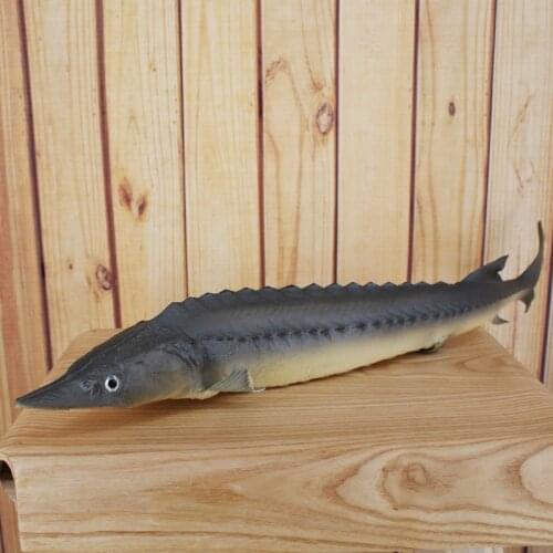 PU Simulation Fake Sturgeon Fish Model Decorations Simulation Fish Fake Food for Photo Props Kids Toys Education Tools