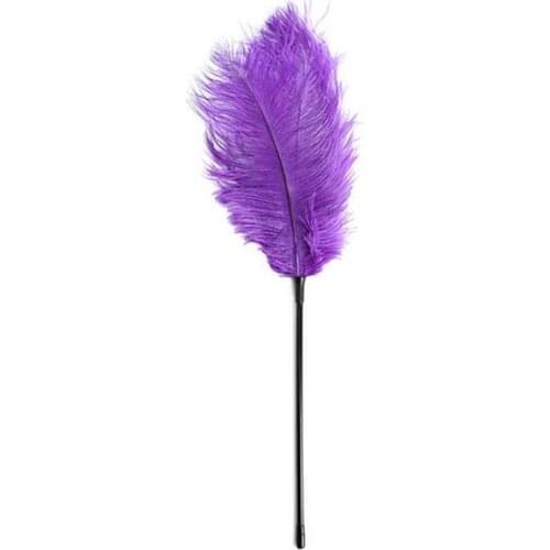 New Bird Feather Flirt Sex Toys for Couples Feather Clit Tickler Spanking Sexy Whip Exotic Sex Toys For Adults Game-3