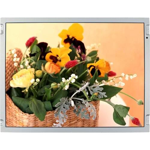 15" IPS LCD Display 1024X768 LQ150X1LW73 LCD Screen