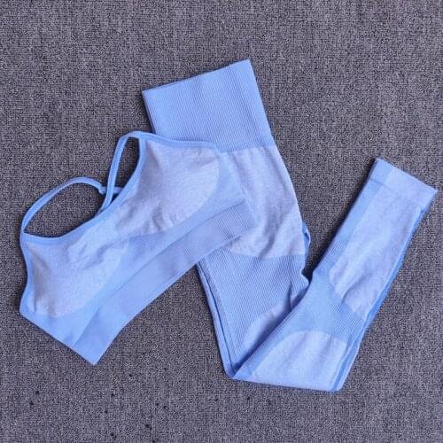 Gym Clothing Women Seamless Yoga Set Sport Fitness Suit Yoga Top And Tracksuit Workout Leggings Sportswear Women Seamless Suit