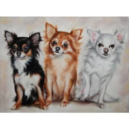 5d diy Diamond Painting Cute Chihuahua dog Full Square drill Mosaic full Embroidery display Cross Stitch Wall Decor C397