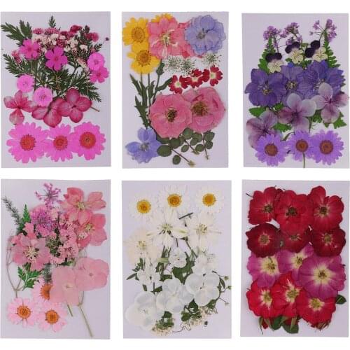 Lots Mixed Real Pressed Flower Dried Flowers for Resin Jewellery Scrapbooking Phone Case Making Crafts DIY Dry Plants