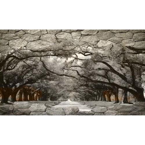 Custom wall stickers 3 d Cave forest 3d wallpaper for bedroom Three-dimensional large-scale background wall photo wallpapers 3d