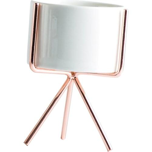 Nordic Style Metal Plant Stand Rack with Flower Pot S-Rose Gold 5.5cm Pot Plant Display Stand with Pot Flower Stand