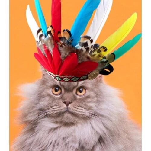 Pet Headband Exquisite Vivid Appearance Pet Supplies Halloween Christmas Birthday Part Pet Feather Costume for Home