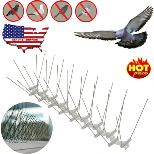 Stainless Steel 25cm Bird Repellent Spikes Eco-friendly Anti Pigeon Nail Bird Deterrent Tool For Pigeons Owl Small Birds Fence