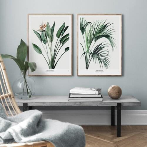 Modern Plants Palm Leaf Strelitzia Illustration Nordic Wall Art Paper Painting Landscape Wall Pictures For Living Room Decor