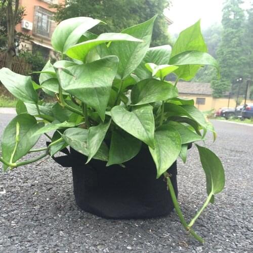 10 pcs thick Black Fabric Pots Plant Vegetable Pouch Root Containers Round Aeration Pot Container Grow Bag Plant Tools 1 gallon