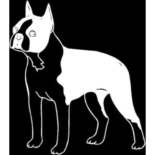 Car Sticker Vinyl 12.7*14.3cm Boston Terrier Dog 3D Stickers On Car Body Door Stickers and Decals Funny Motorcycle Car Styling