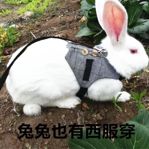 Bunny Traction Rope Rabbit Rope tutu Gentleman Dress Rabbit Suit Cat Rope Walk Cat Rope Puppy Dog Dress