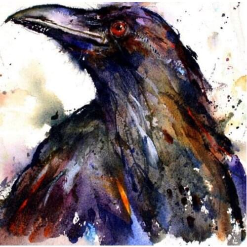 5d Diy full square Diamond Painting Embroidery Round Art colorful crow raven Animals Sticker Mosaic Picture DecorationZP-1270