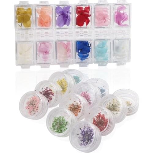 Segbeauty Nail Art Accessories Dried Flowers 24 Different Colorful Life Nail Flower Stickers For DIY Crafts Nails Decorations