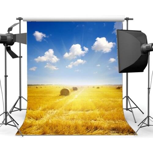 Autumn Harvest Farmland Backdrop Golden Wheat Field Straw Hay Bale Blue Sky White Cloud Holy Lights Background