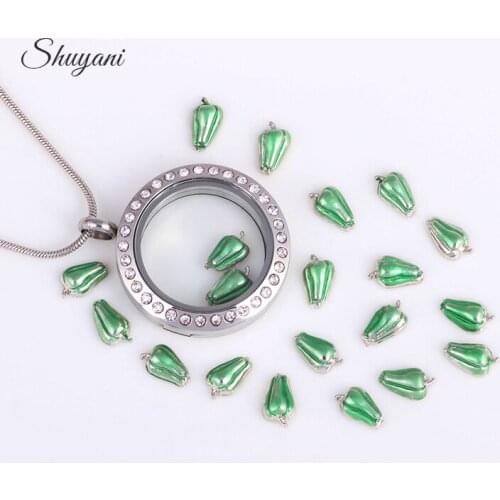 F105 Wholesale 20pcs/lot New Hot Fashion Hot Pepper Charms Fit Glass Lockets Women Free Shipping LC103
