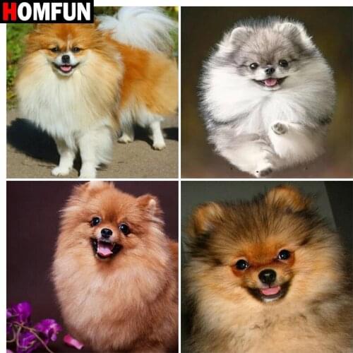 HOMFUN Diamond Painting "Hiromi Dog animal" Cross Stitch Custom Photo Diamond Embroidery Square Round Drill Home Decor