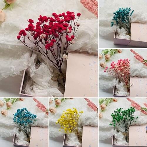 Stars of forget-me-not dry flower bouquet living room furnishings send boudoir light luxury dry flower vase furnishings decorati