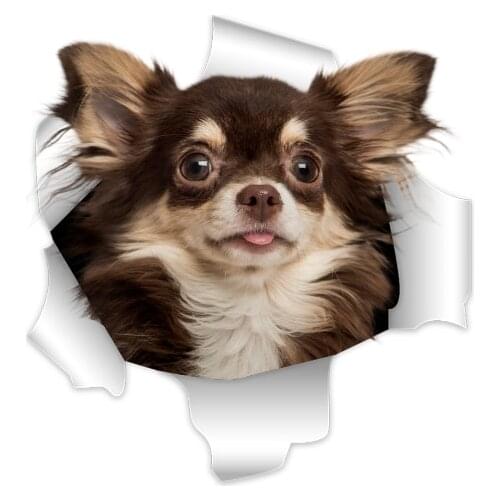 Three Ratels 3D Chihuahuas Dog Stickers Super Staffie decal on Wall Fridge Toilet car bike
