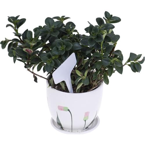 100 pcs white Plant Markers Garden Bonsai Succulent Seedings Tags Sign PVC Gardening Labels Stake on Soil Paint Sticks