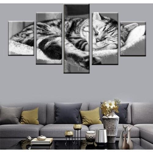 HD Print 5 Panel Cute Sleeping Cat Animal Poster Painting Living Room Home Decor Modular Canvas Wall Art Picture Frame