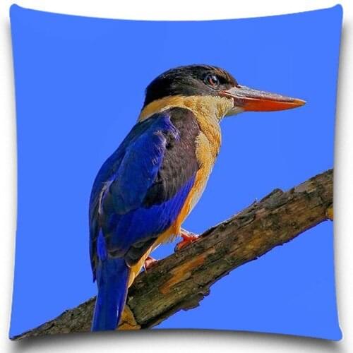 2016 new! 2D print bird pattern sofa cushion cover pillow cover cotton polyester pillow case 5 size 9 style