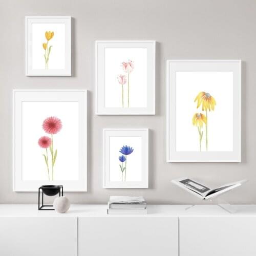 Colorful Flowers Poster Fresh Nordic Dandelion Peony Orchid Canvas Painting Wall Art Picture Home Decoration for Living Room