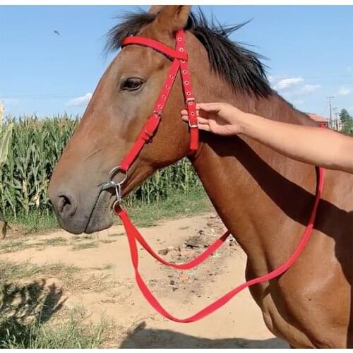 Nylon Horse Halter Horse Riding Equipment Racing Equestrianism Accessories For Horse of 1.2 Meters Shoulder Height Mahler Reins