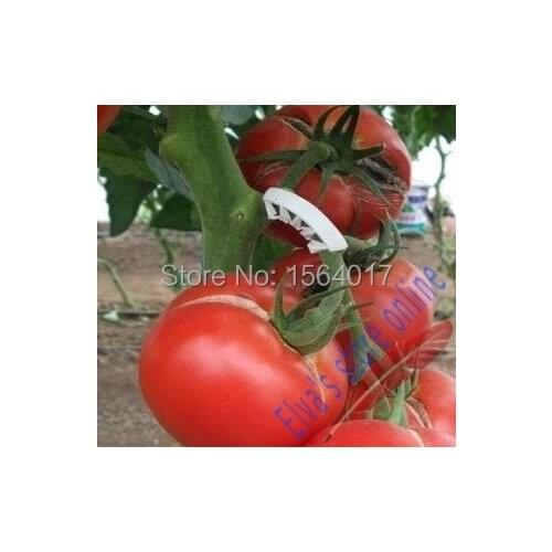 1000pcs plastic tomato clip plant fastener plant vines Tomato Flower Vegetable Farming Clip