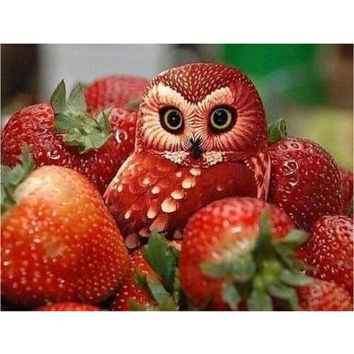 Full Square Round 5D DIY Diamond Painting "Strawberry Owl" 3D Embroidery Cross Stitch Daimond Mosaic Home Decoration FD03
