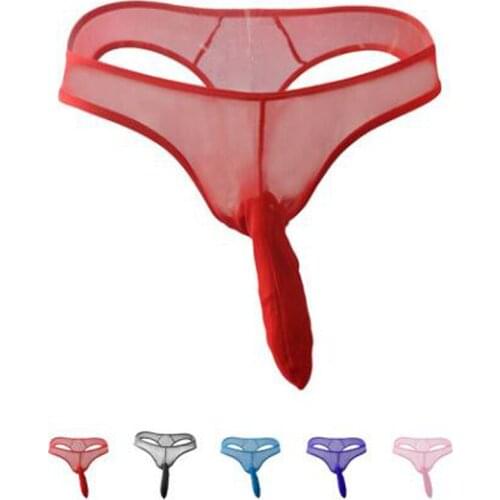 Low-waist Sexy mens underwear male transparent panties gauze mesh G-string and thongs cock penis bag ( size M L XL) ZJH009