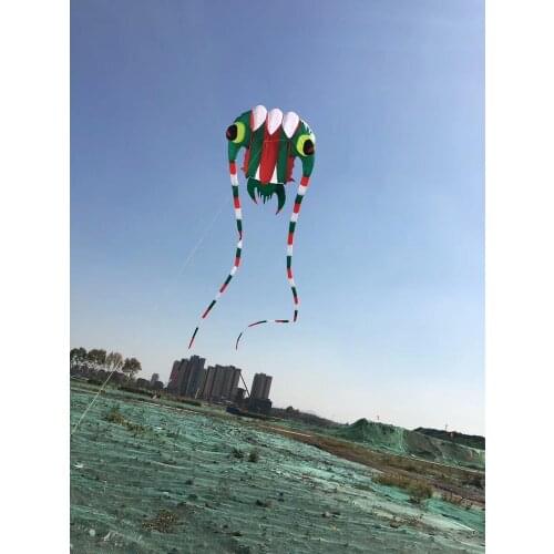 Big kites for adults single line kite ripstop nylon fabric vliegers flying kite weather vane trilobite kite soft pulpo windsock