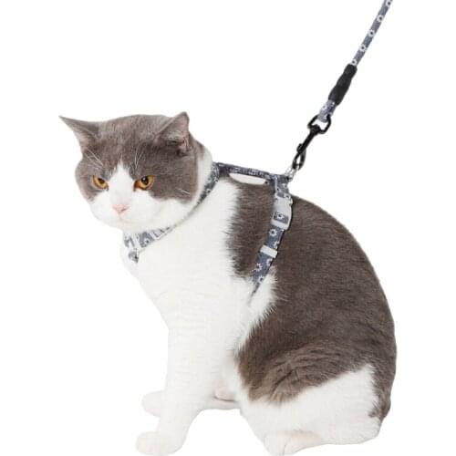 Cat leash and harness Accessories Adjustable small lovely dog kitty collar Rabbit Outdoor dogs